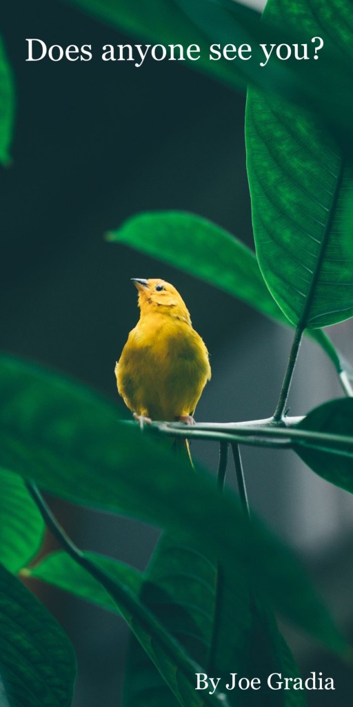 Are you being heard? by Joe Gradia