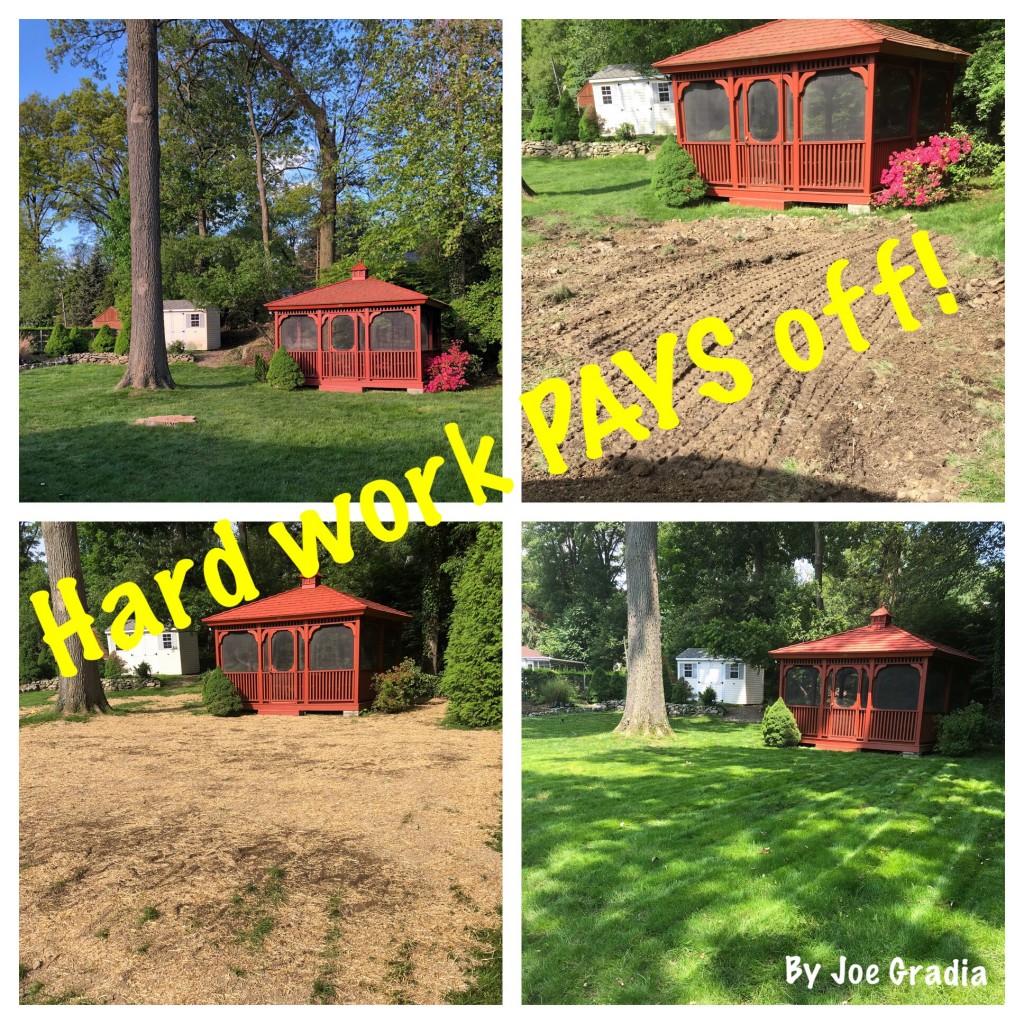 #hardworkpaysoff By Joe Gradia