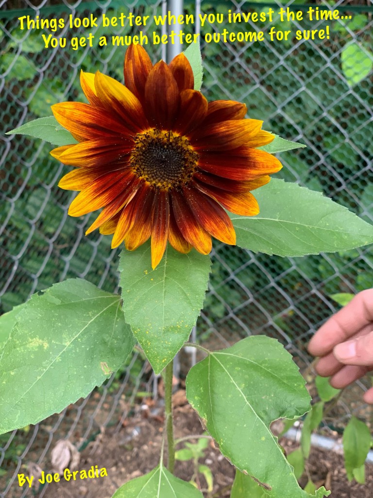 #outcome By Joe Gradia