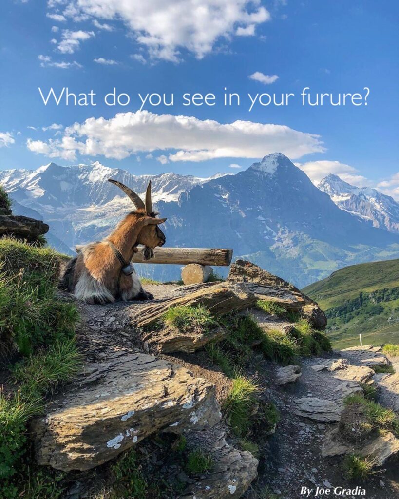 #gameplan By Joe Gradia