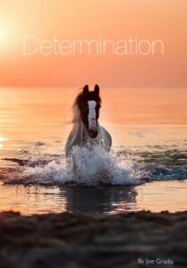 #yougotthis By Joe Gradia 