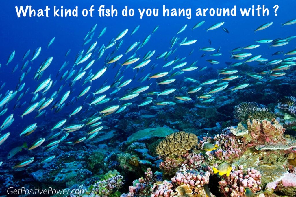 #choosingfriends  By Joe Gradia