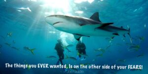 #fears By Joe Gradia