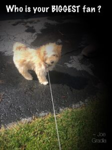 #supersupport By Joe Gradia