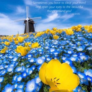 #smelltheroses By Joe Gradia 