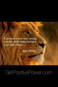 #choices By Joe Gradia 