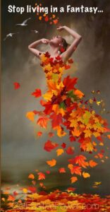 #fairyland By Joe Gradia