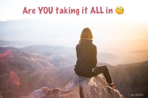 #takingitallin By Joe Gradia 