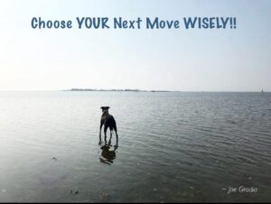#smartmoves By Joe Gradia